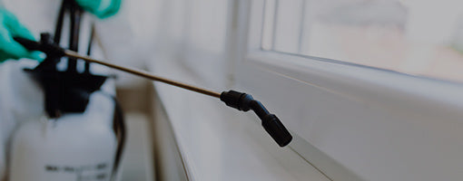 Keeping Bed Bugs out of Your Home